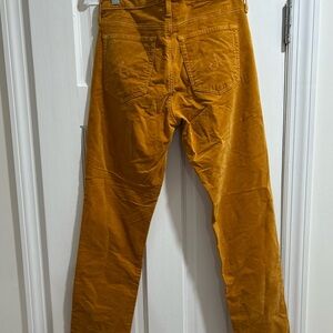 AG Adriano Goldschmied  Golden velvet Pants
